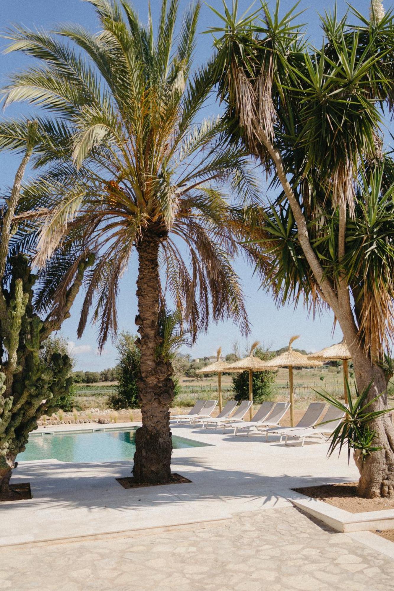 Vino Resort Son Amaret Son Macia  Exteriör bild