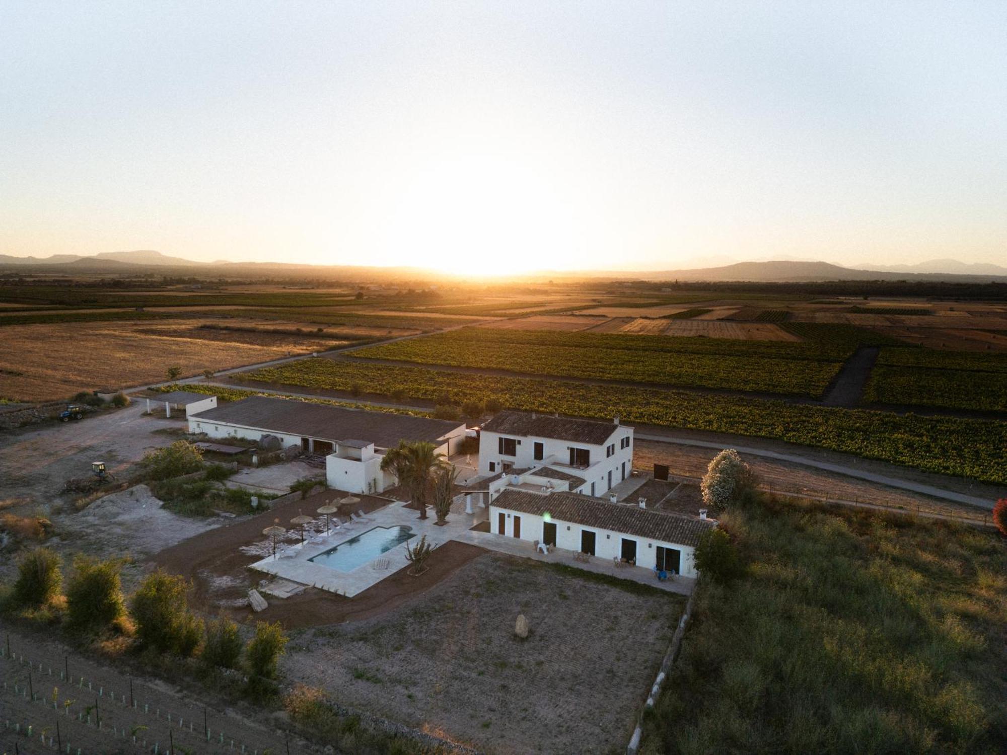 Vino Resort Son Amaret Son Macia  Exteriör bild