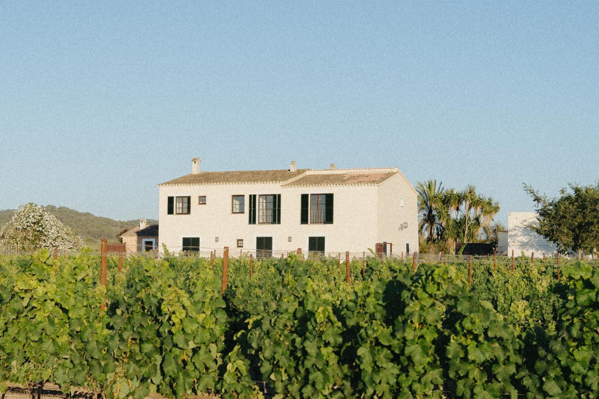 Vino Resort Son Amaret Son Macia  Exteriör bild